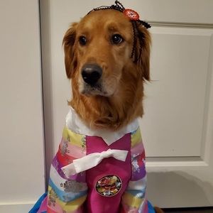 Meet your Posher, Amy